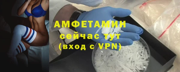 ПСИЛОЦИБИНОВЫЕ ГРИБЫ Абаза