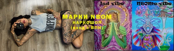 ПСИЛОЦИБИНОВЫЕ ГРИБЫ Абаза