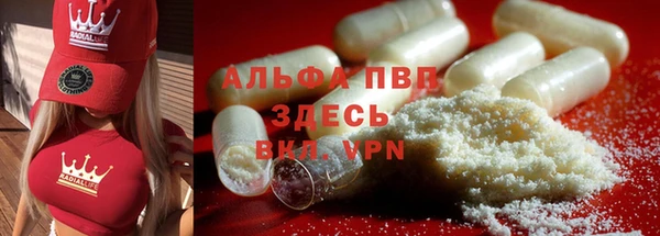 ПСИЛОЦИБИНОВЫЕ ГРИБЫ Абаза