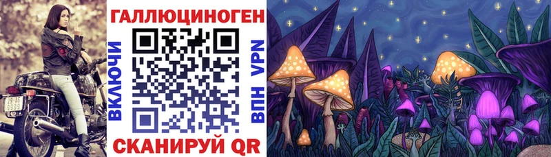 omg онион Сальск Псилоцибиновые грибы прущие грибы